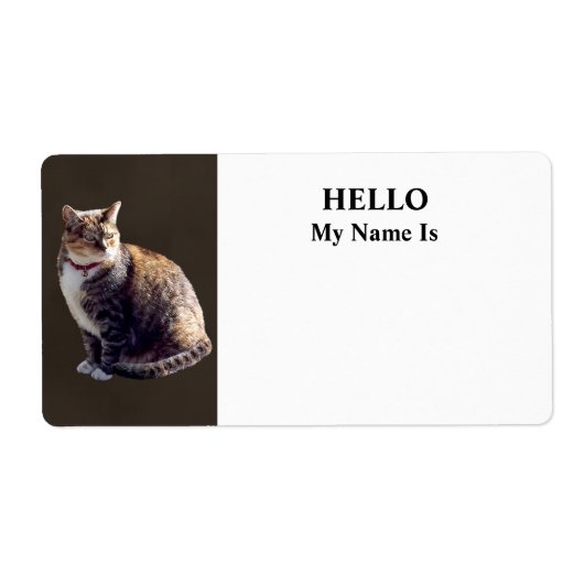 Tortoiseshell Cat (Vorne)