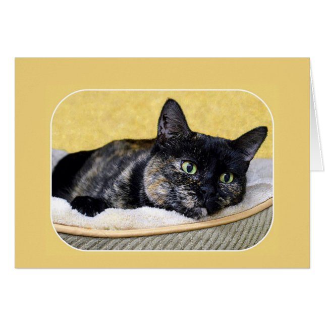 Tortoiseshell Cat Denken (Vorderseite (Horizontal))