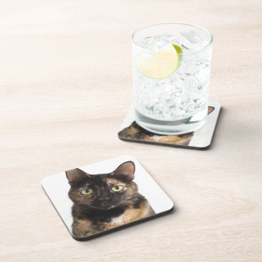 Tortoiseshell Cat Getränkeuntersetzer (Rechte Seite)