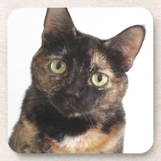 Tortoiseshell Cat Getränkeuntersetzer (Vorderseite)