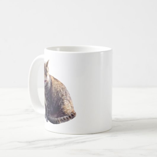Tortoiseshell Cat Kaffeetasse (Vorderseite Links)