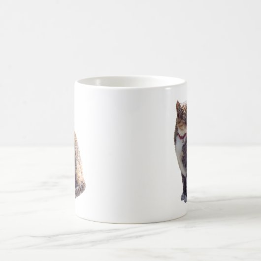 Tortoiseshell Cat Kaffeetasse (Mittel)