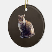 Tortoiseshell Cat Keramik Ornament (Links)