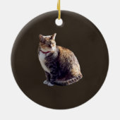 Tortoiseshell Cat Keramik Ornament (Hinten)