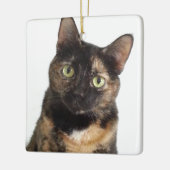 Tortoiseshell Cat Keramikornament (Links)