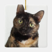 Tortoiseshell Cat Keramikornament (Rückseite)