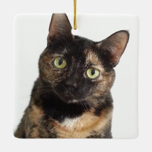 Tortoiseshell Cat Keramikornament (Rückseite)