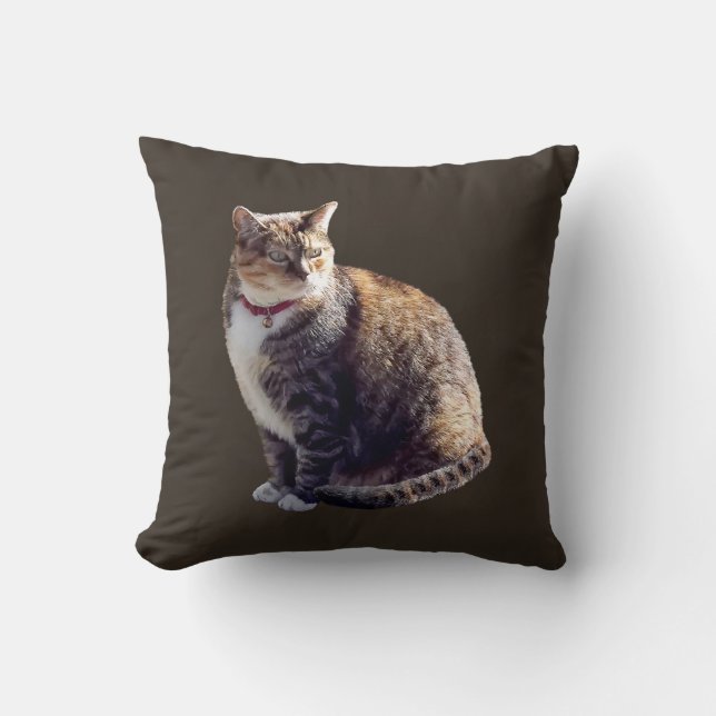 Tortoiseshell Cat Kissen (Vorderseite)