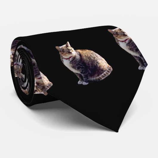 Tortoiseshell Cat Krawatte (Gerollt)