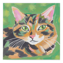 Tortoiseshell Cat