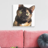 Tortoiseshell Cat Leinwanddruck (Insitu (Wohnzimmer))