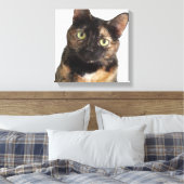 Tortoiseshell Cat Leinwanddruck (Insitu (Schlafzimmer))