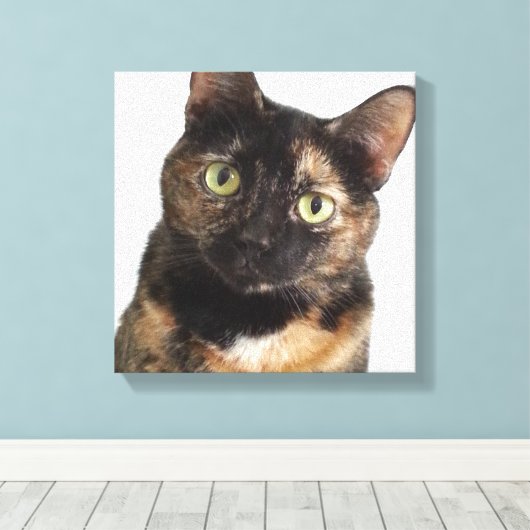 Tortoiseshell Cat Leinwanddruck (Insitu (Holzboden))