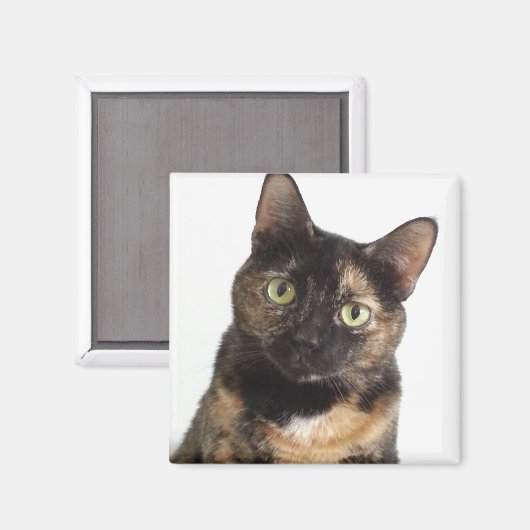 Tortoiseshell Cat Magnet (Vorderseite/Rückseite)