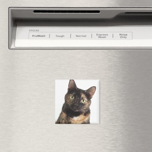 Tortoiseshell Cat Magnet (In Situ (Geschirrspüler))