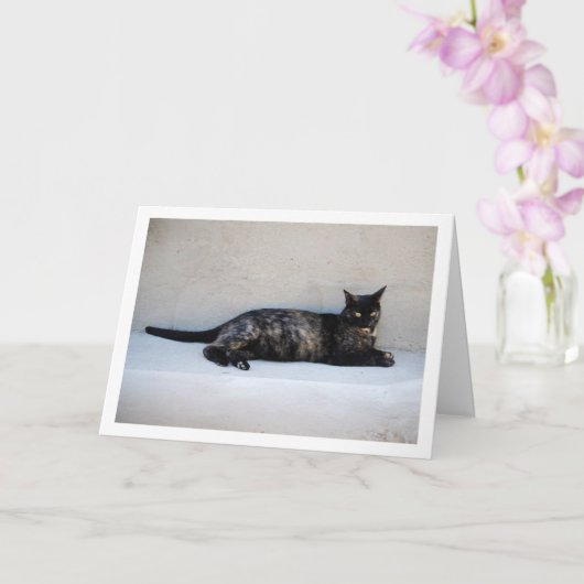 Tortoiseshell Cat Portrait Karte (Orchidee)