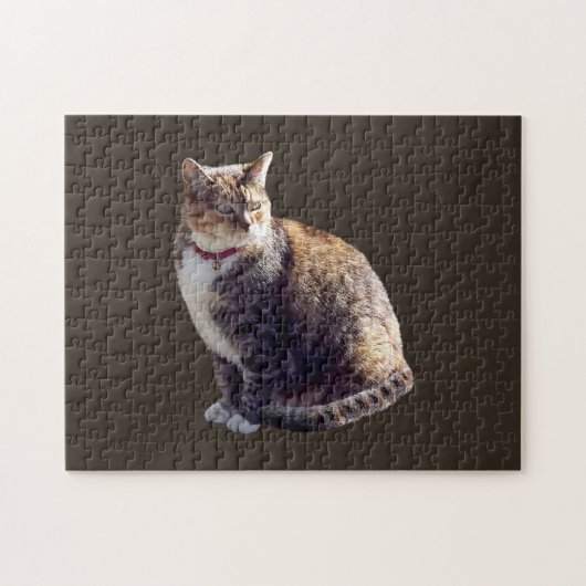 Tortoiseshell Cat Puzzle (Horizontal)