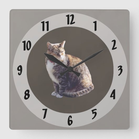 Tortoiseshell Cat Quadratische Wanduhr (Vorderseite)