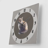 Tortoiseshell Cat Quadratische Wanduhr (Winkel)