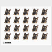Tortoiseshell Cat Quadratischer Aufkleber (Blatt)