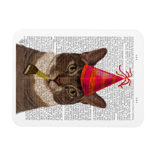 Tortoiseshell Chat mit Party Hat Magnet (Horizontal)