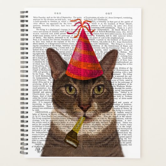 Tortoiseshell Chat mit Party Hat Planer (Vorderseite)