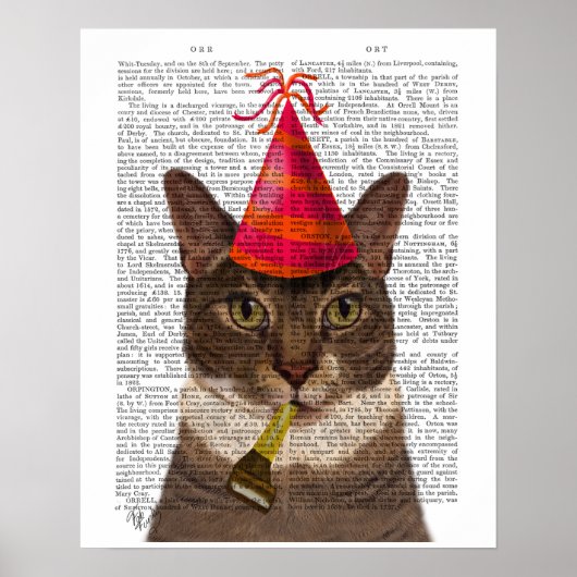 Tortoiseshell Chat mit Party Hat Poster (Vorne)
