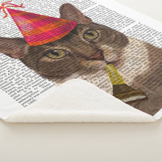 Tortoiseshell Chat mit Party Hat Sherpadecke (3/4)