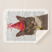 Tortoiseshell Chat mit Party Hat Sherpadecke (Vorderseite (Horizontal))