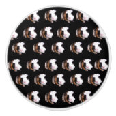 Tortoiseshell Guinea Schweine Keramik Türknopf. Keramikknauf (Vorderseite)