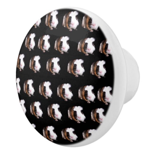 Tortoiseshell Guinea Schweine Keramik Türknopf. Keramikknauf (Rechts)