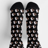 Tortoiseshell Guinea Schweine, Socken (Oben)