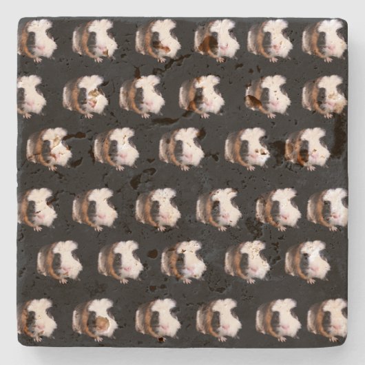 Tortoiseshell Guinea Schweine, Stone Untersetzer (Vorderseite)