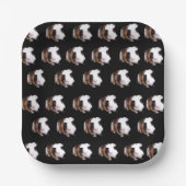 Tortoiseshell Guinea Schweinepattern, Pappteller (Vorderseite)