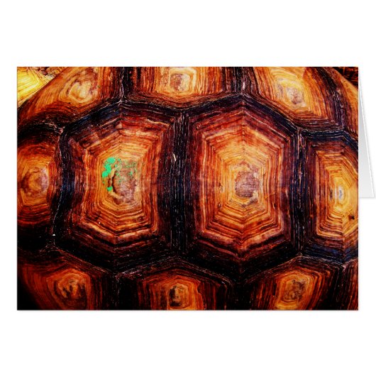 Tortoiseshell-Karte (Vorderseite (Horizontal))
