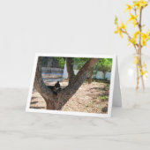 Tortoiseshell Kat in Tree Karte (Gelbe Blume)