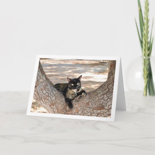 Tortoiseshell Kat in Tree Karte (Vorderseite)