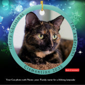 Tortoiseshell Katze Besuchen Santa mit Unglaublich Keramik Ornament