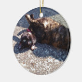 Tortoiseshell Katze Keramik Ornament (Links)