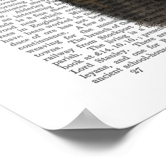 Tortoiseshell Katze mit Antlern und Roten Vögeln Poster (Ecke)