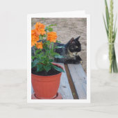 Tortoiseshell Katze mit Firecracker-Blume Karte (Vorderseite)