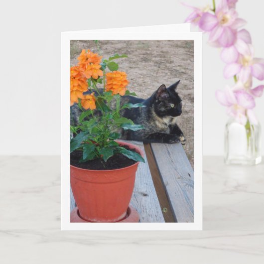 Tortoiseshell Katze mit Firecracker-Blume Karte (Orchidee)