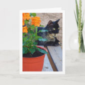 Tortoiseshell Katze mit Firecracker-Blume Karte (Vorderseite)