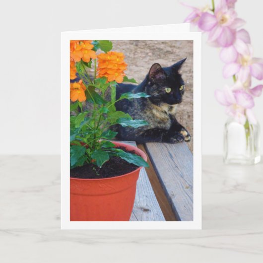 Tortoiseshell Katze mit Firecracker-Blume Karte (Orchidee)
