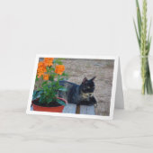 Tortoiseshell Katze mit Firecracker-Blume Karte (Vorderseite)