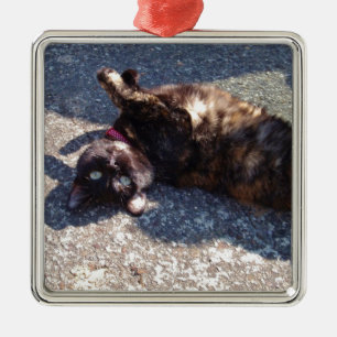 Tortoiseshell Katze Silbernes Ornament
