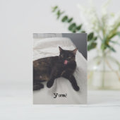 Tortoiseshell Katzenzunge Kaugummi Postkarten (Stehend Vorderseite)