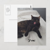 Tortoiseshell Katzenzunge Kaugummi Postkarten (Vorne/Hinten)