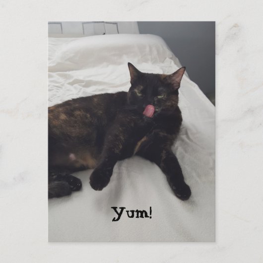 Tortoiseshell Katzenzunge Kaugummi Postkarten (Vorderseite)