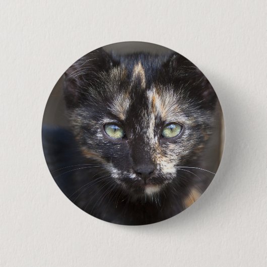 Tortoiseshell Kitten Button (Vorderseite)